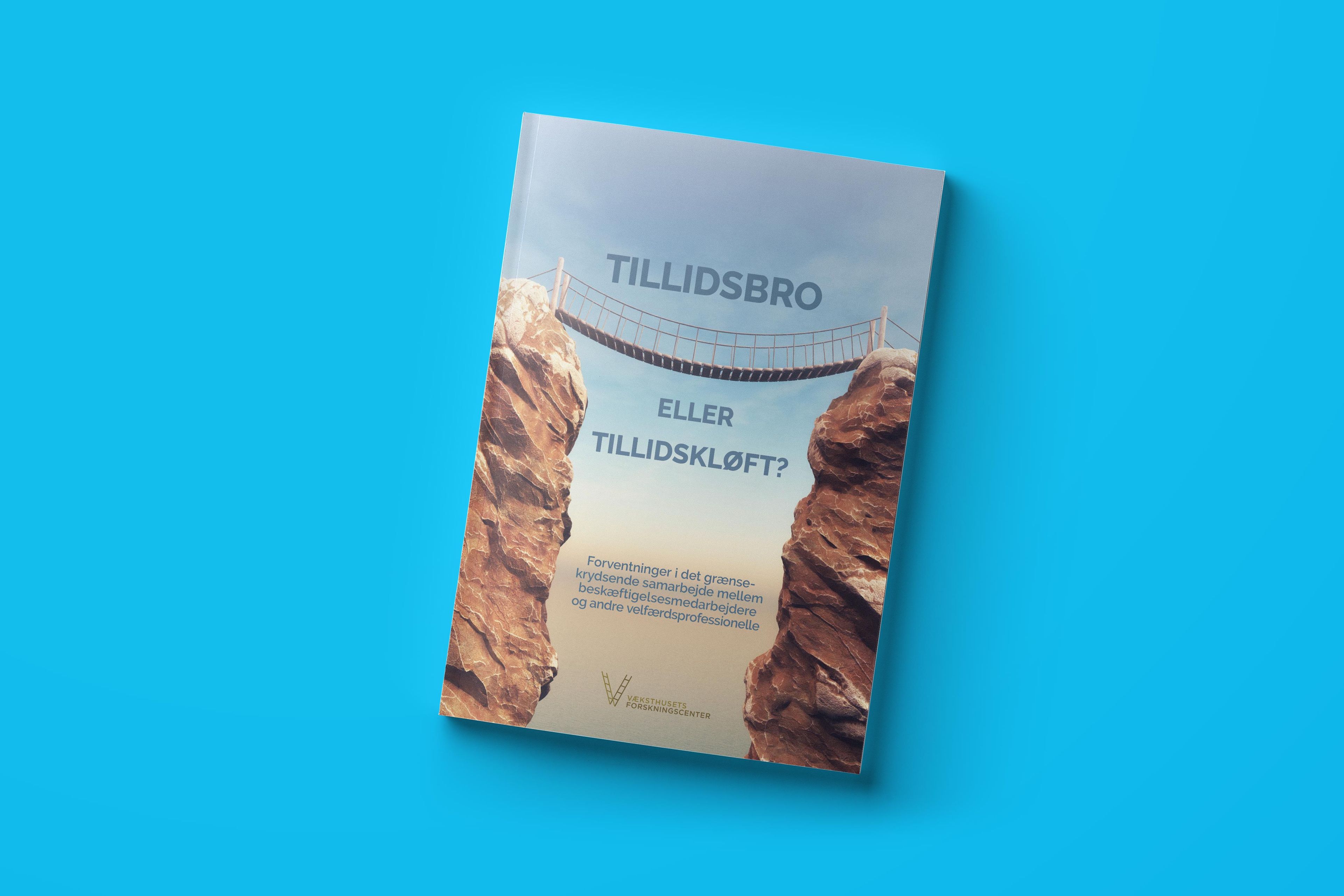 Tillidsbro eller tillidskløft?