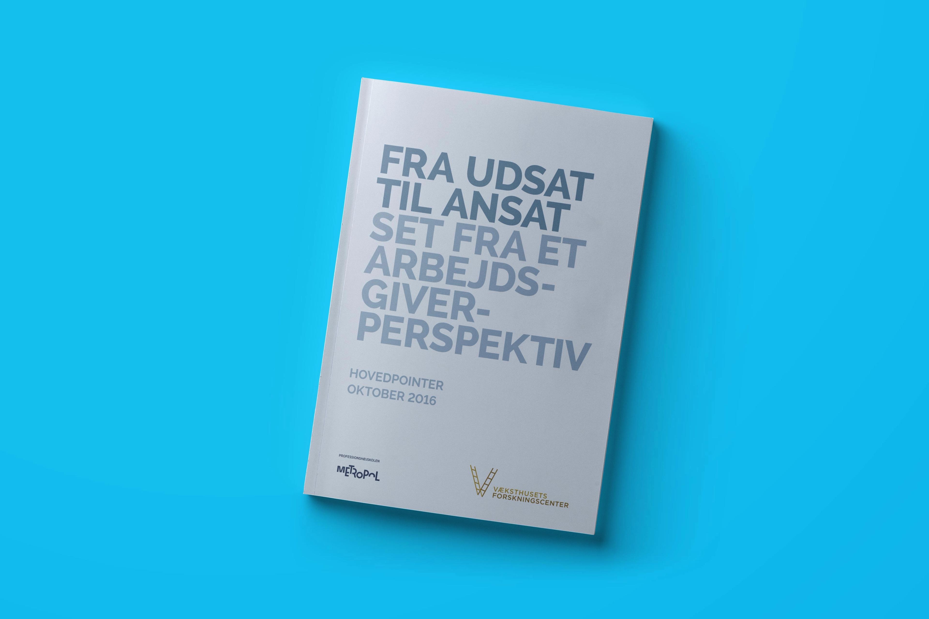 Fra udsat til ansat – set fra et arbejdsgiverperspektiv – hovedpointer