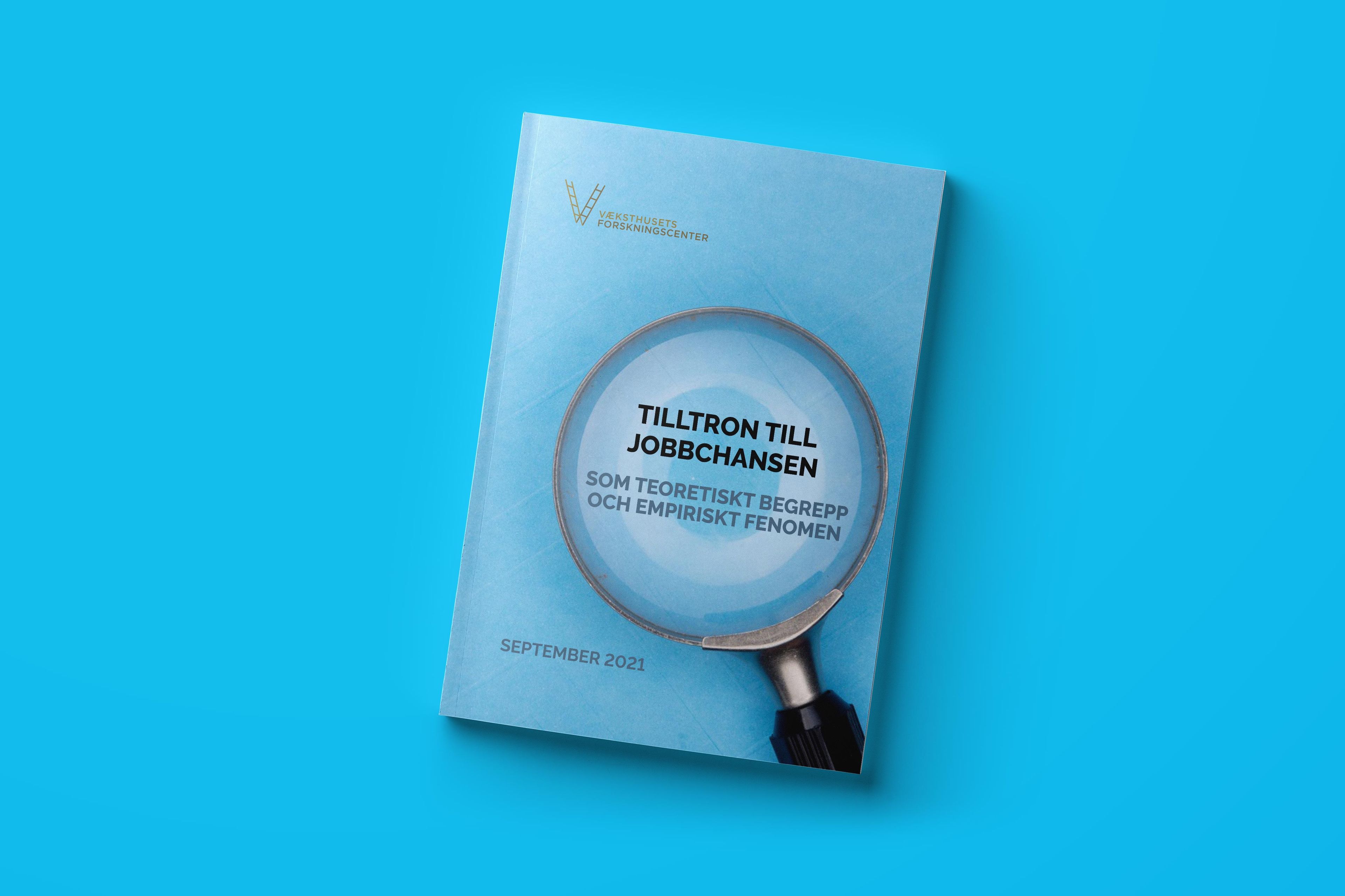 Tilltron på jobbchansen – som teoretiskt begrepp och empiriskt fenomen