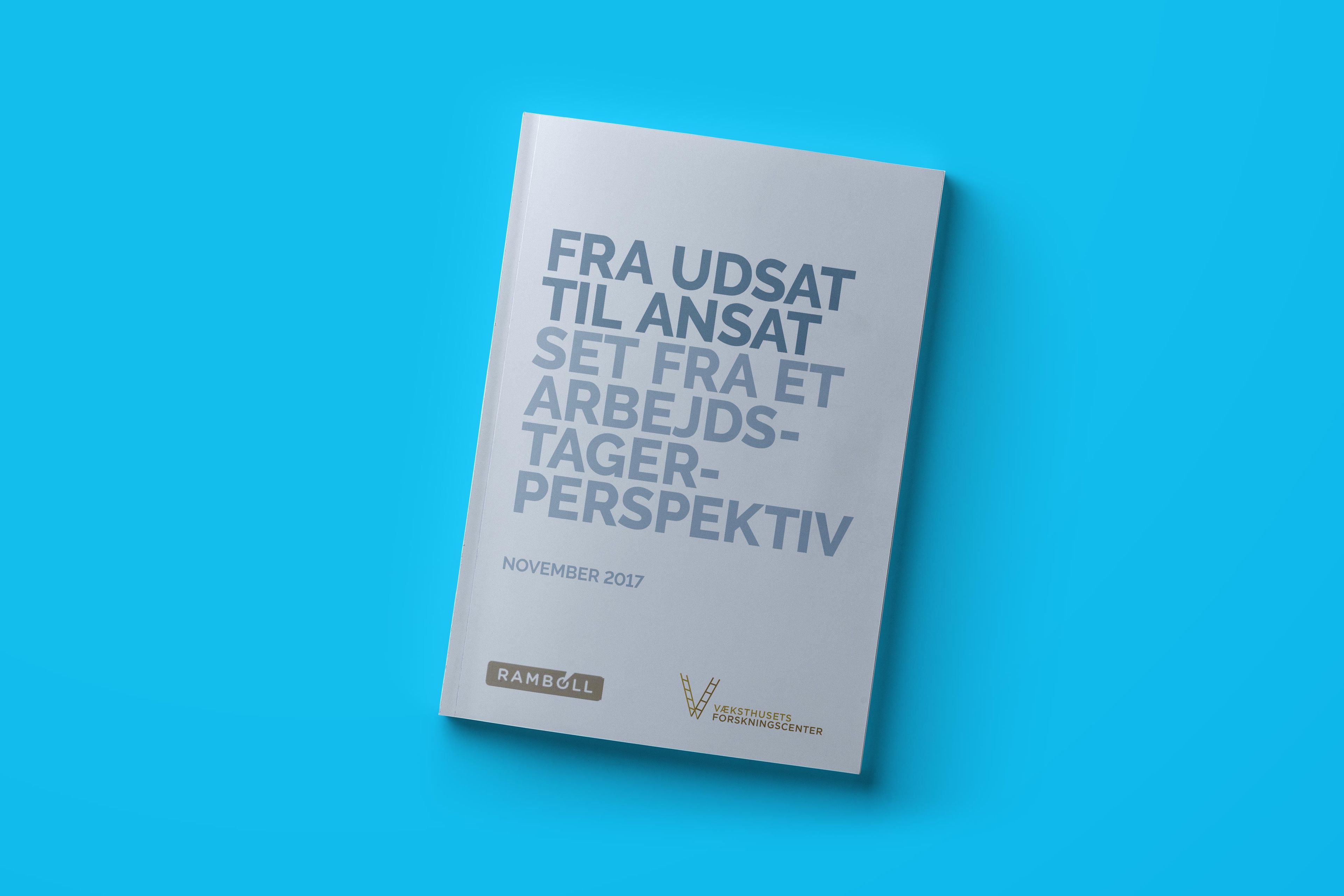 Fra udsat til ansat set fra et arbejdstager-perspektiv