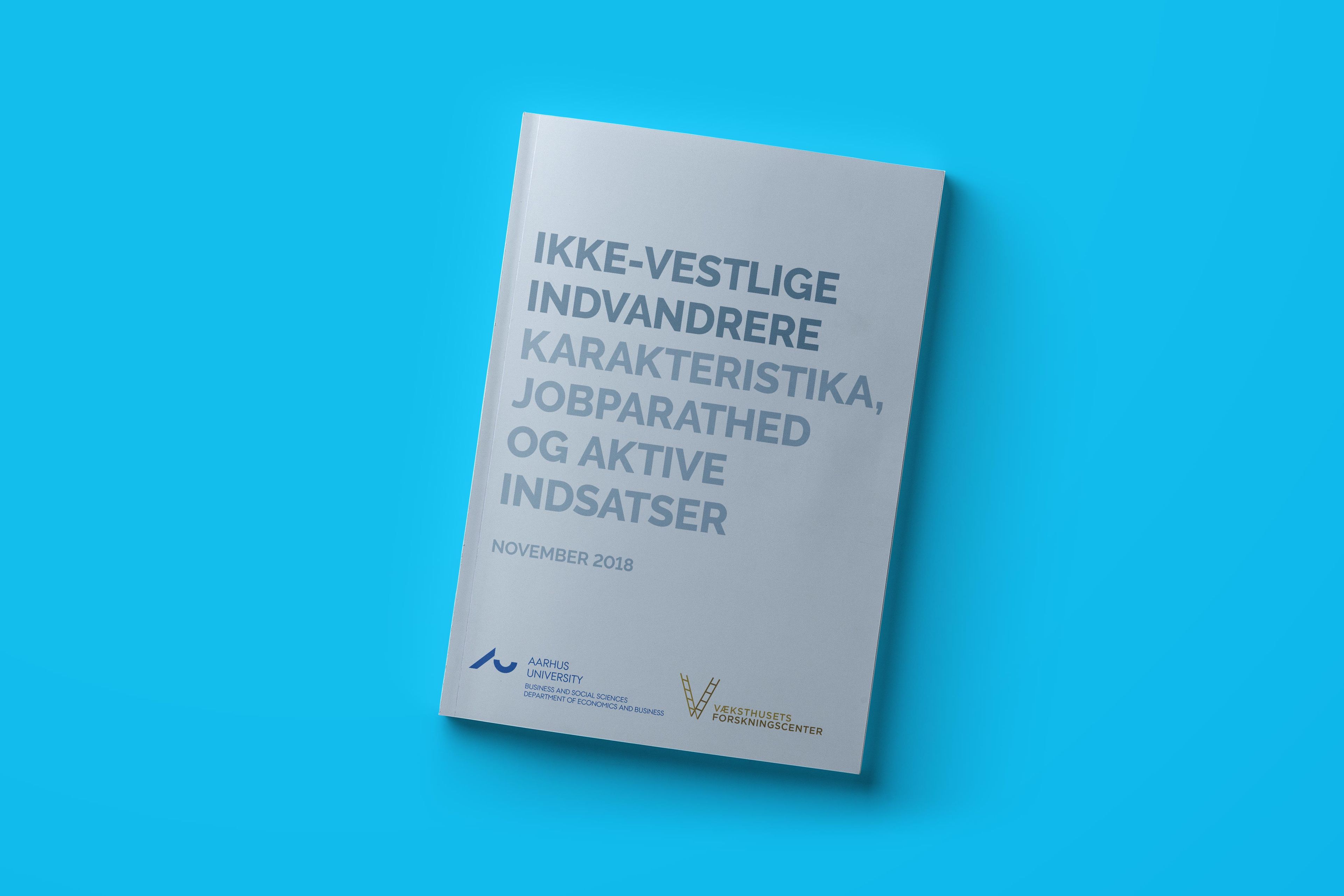 Ikke-vestlige indvandrere – karakteristika, jobparathed og aktive indsatser