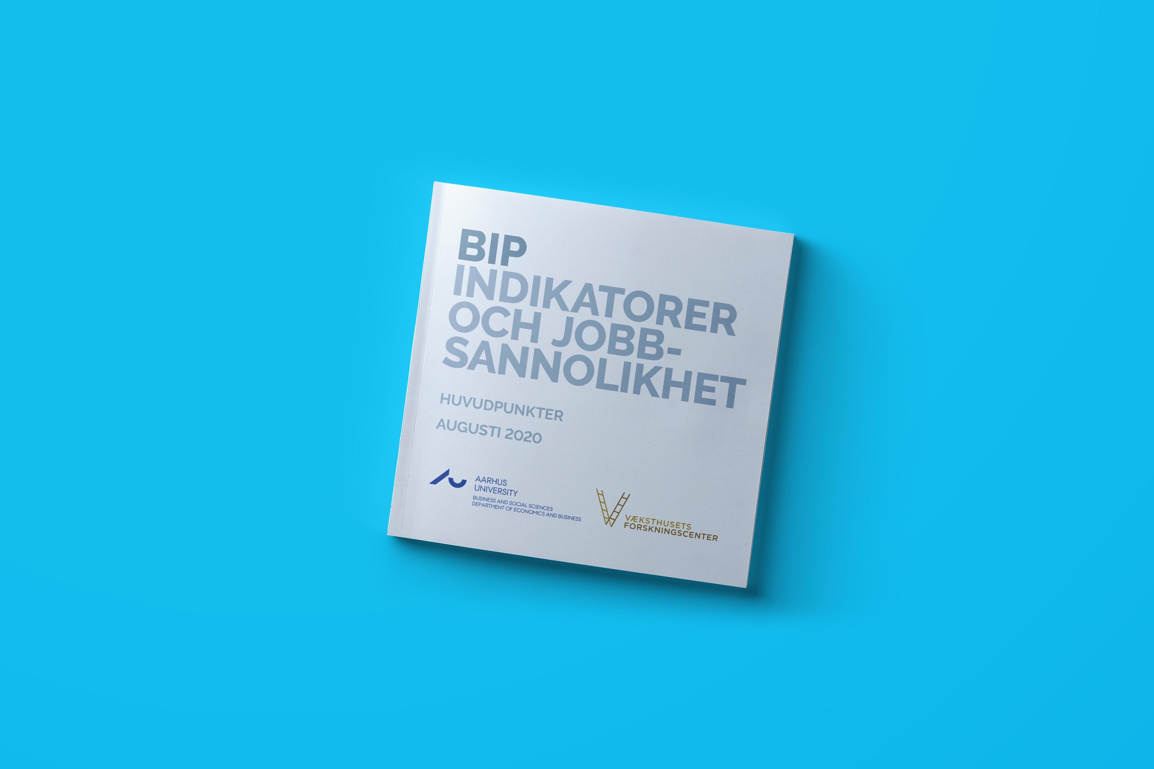 BIP Indikatorer och jobbsannolikhet - huvudpunkter