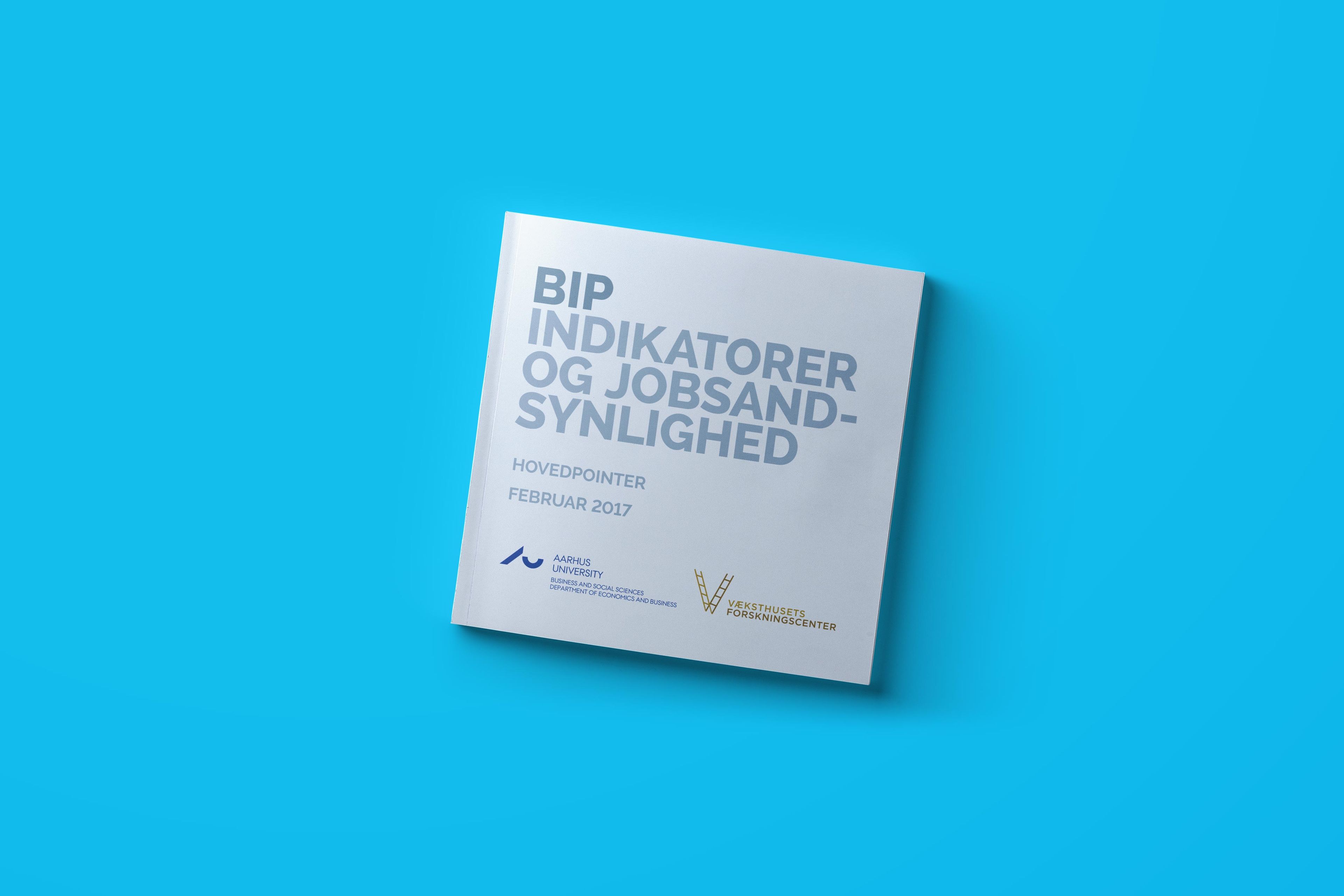 BIP – indikatorer og jobsandsynlighed – hovedpointer