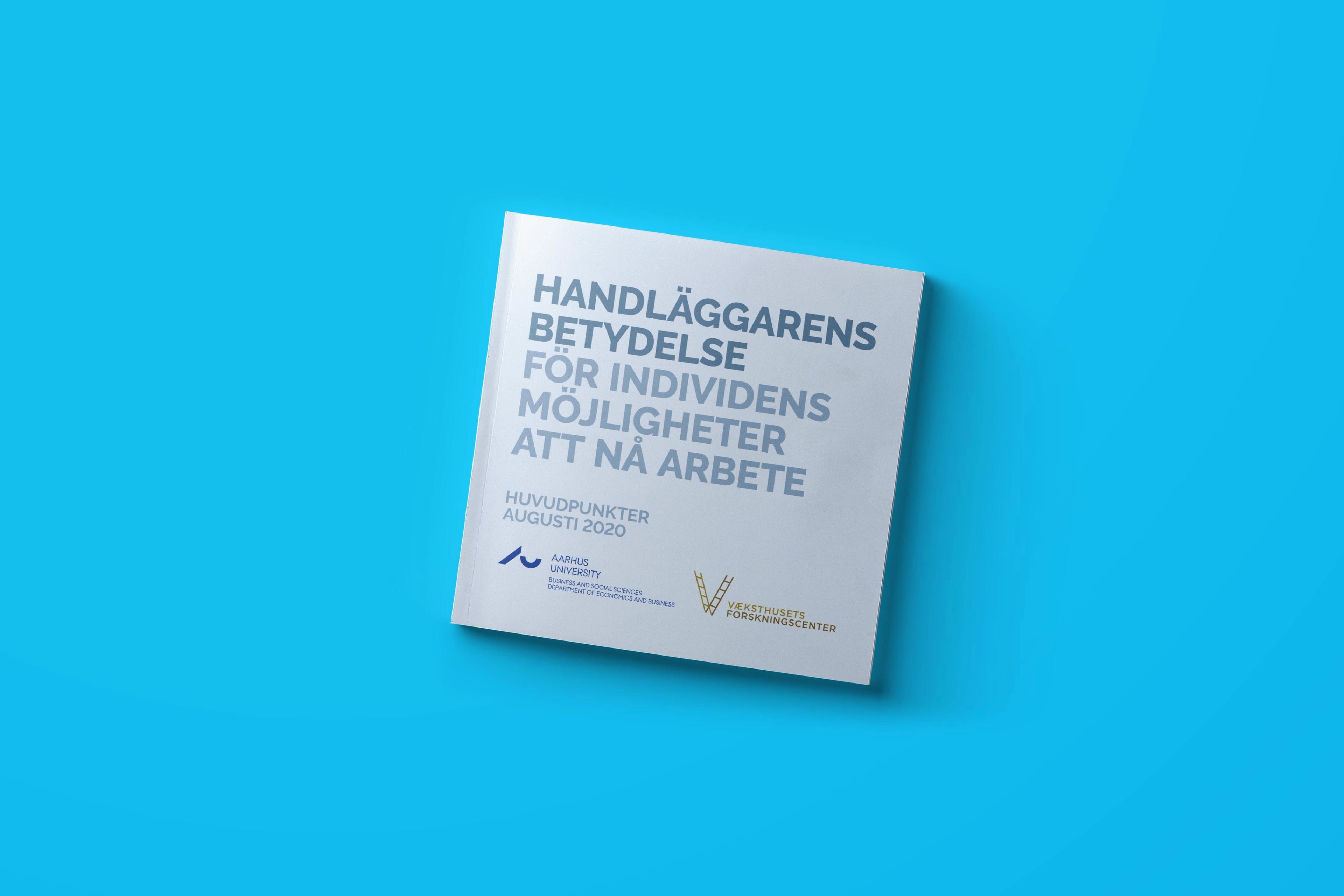 Handläggarens betydelse för individens möjligheter att nå arbete - Huvudpunkter