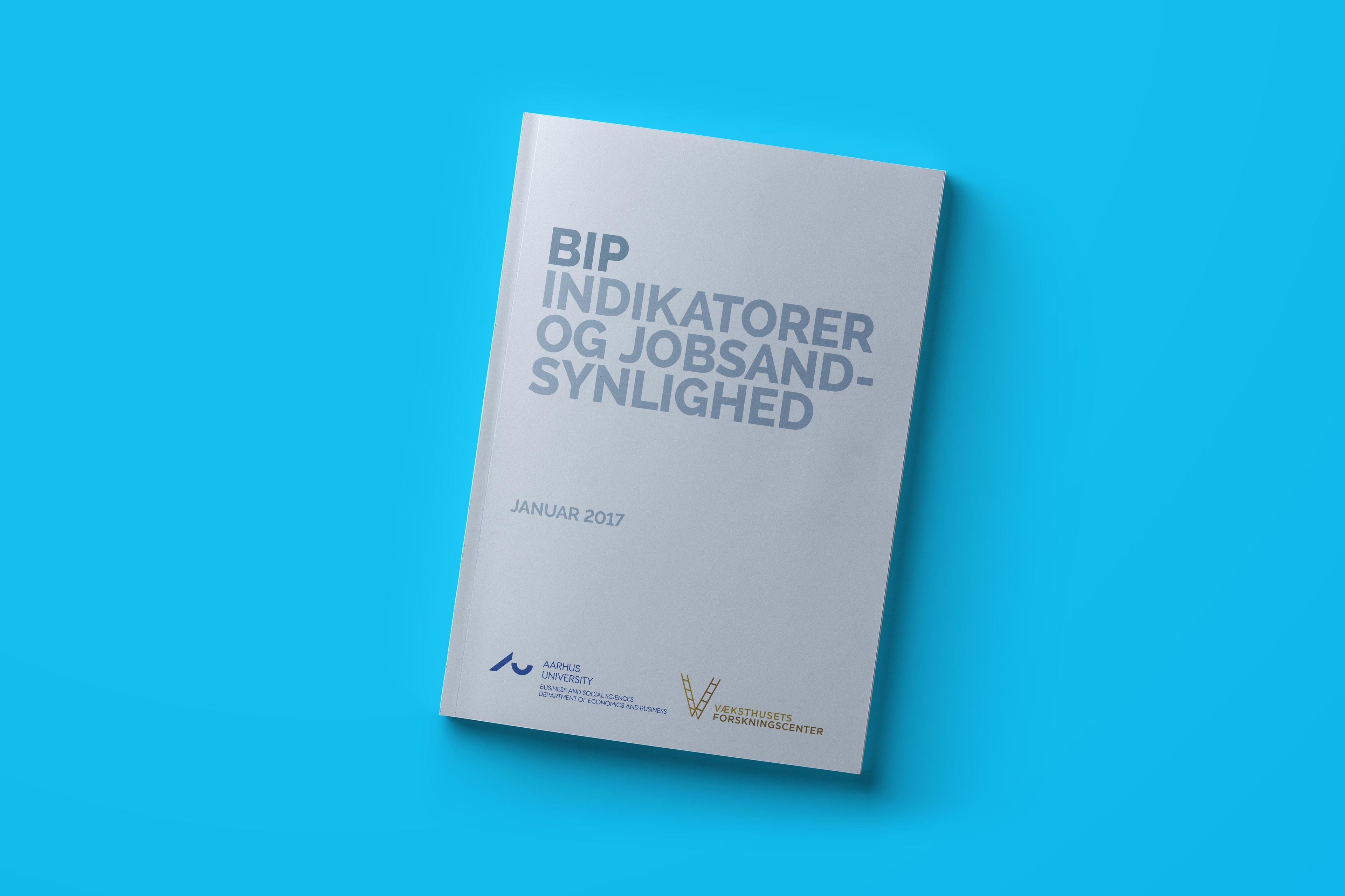 BIP – indikatorer og jobsandsynlighed